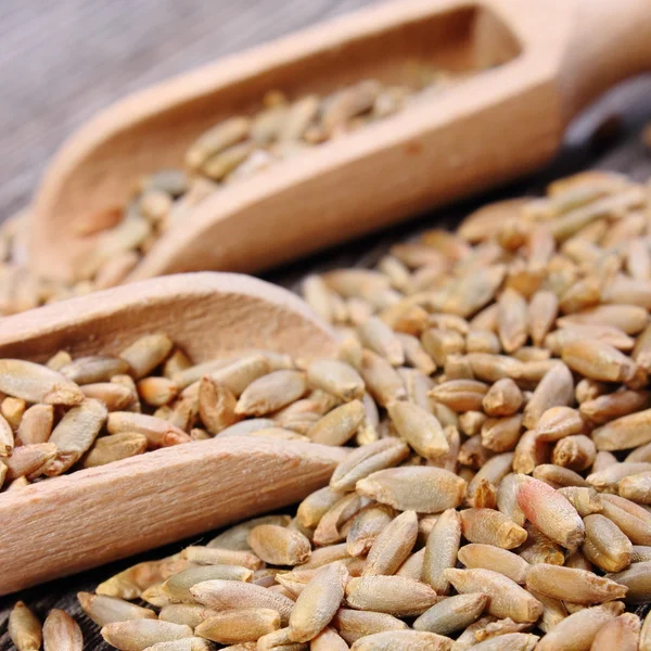 Grano de centeno con cuchara sobre fondo de madera — Foto de Stock