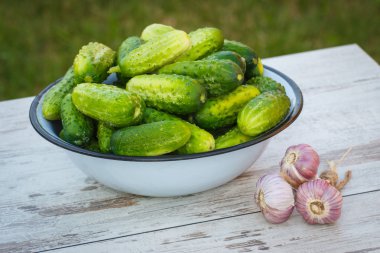 Metal kase ve sarımsak güneşli bahçe salatalık