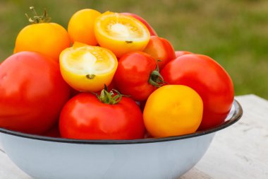 Güneşli Bahçe metal kapta domates