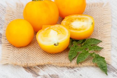 Güneşli gün bahçede yeşil yaprakları ile sarı domates