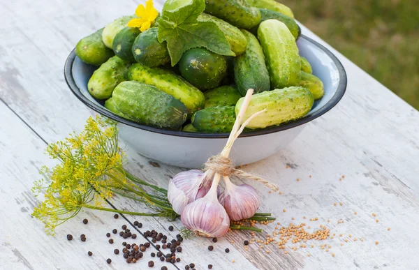 Cucumbers in metal bowl and spices for pickling cucumbers in garden on sunny day — Stock Photo, Image