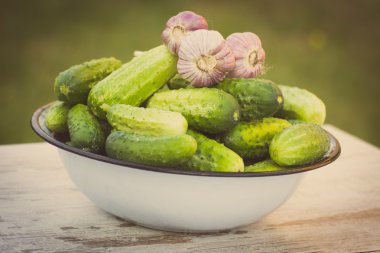 Vintage Fotoğraf, salatalık ve güneşli Bahçe metal kapta sarımsak