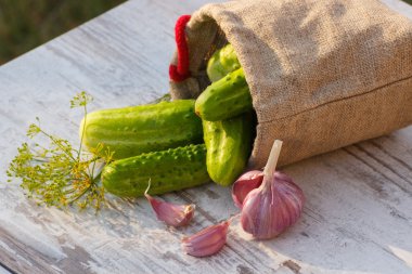 Jüt çanta, taze sarımsak ve güneşli masada dereotu salatalık