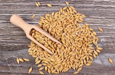 Arpa buğday ahşap zemin üzerine kaşıkla