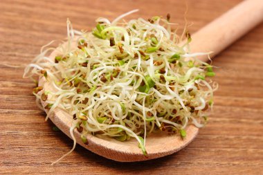 Yonca ve turp lahanası vurgunun, ahşap arka plan