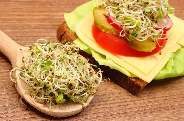 Μηδική και ραπανάκι λαχανάκια σχετικά με κουτάλι και χορτοφαγικό σάντουιτς — Φωτογραφία Αρχείου