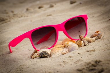Yığın kabukları ve kum plaj üzerinde pembe güneş gözlüğü