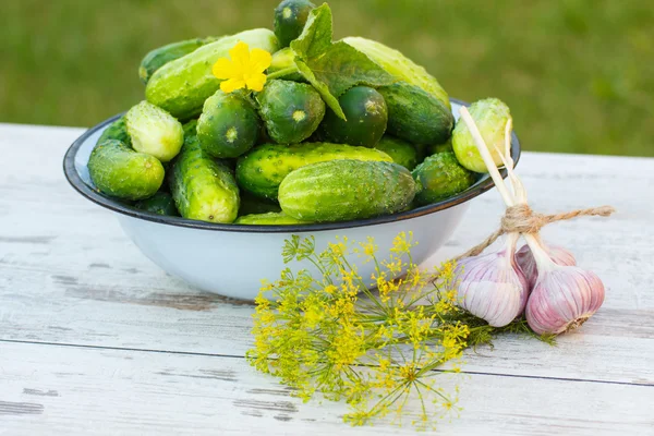 Güneşli Bahçe dereotu ile metal kase ve taze sarımsak salatalık