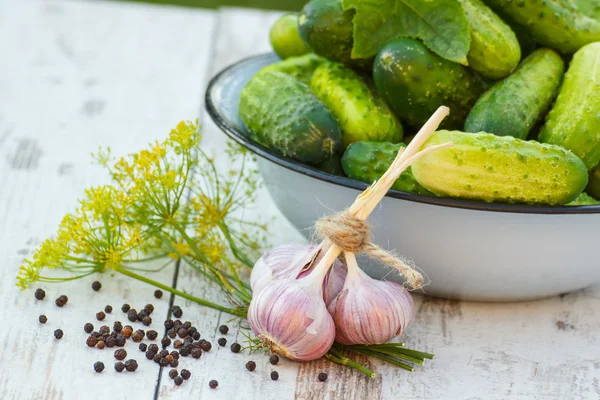 Cucumbers in metal bowl and spices for pickling cucumbers in garden on sunny day — Stock Photo, Image