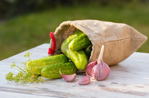 Jüt çanta, taze sarımsak ve güneşli masada dereotu salatalık