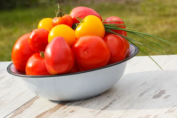 Tomates dans un bol en métal avec ciboulette verte dans le jardin le jour ensoleillé — Photo