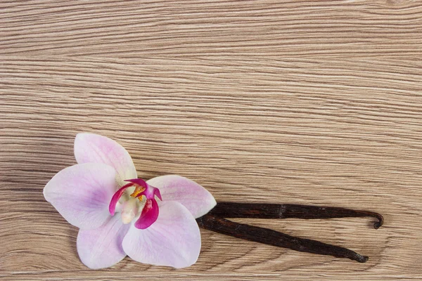 Orquídea florescente e palitos de baunilha perfumados, espaço de cópia para texto — Fotografia de Stock