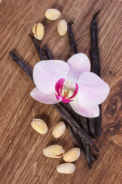 Nozes de pistache, orquídea florescente e palitos de baunilha perfumados, ingredientes cosméticos — Fotografia de Stock