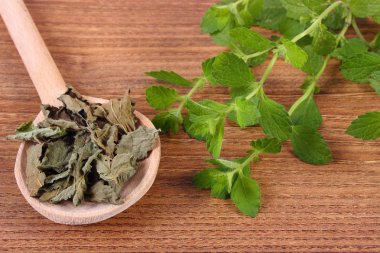 Kurutulmuş ve taze Melisa ahşap masa, herbalism kaşık ile