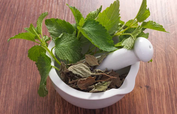 Fresh green and dried lemon balm in mortar, herbalism, alternative medicine — Stock Photo, Image