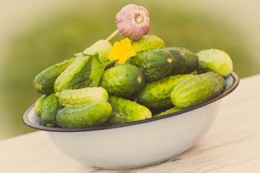 Vintage Fotoğraf, salatalık ve güneşli Bahçe metal kapta sarımsak