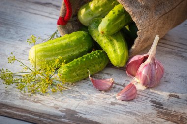 Jüt çanta, taze sarımsak ve güneşli masada dereotu salatalık