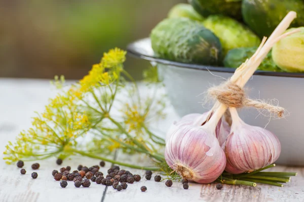 Cucumbers in metal bowl and spices for pickling cucumbers in garden on sunny day — Stock Photo, Image