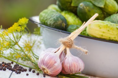 Salatalık metal kase ve güneşli günde bahçe salatalık dekapaj baharatlar