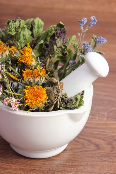 Kurutulmuş bitkiler ve çiçekler beyaz harç, herbalism, Dekorasyon — Stok fotoğraf