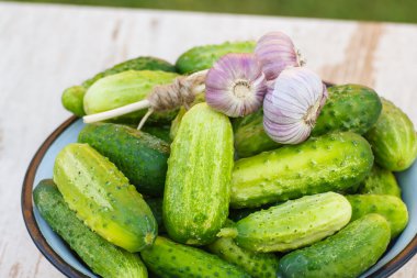 Salatalık ve güneşli Bahçe metal kapta sarımsak