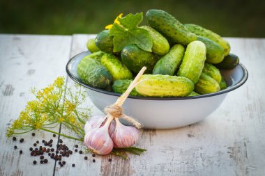 Salatalık metal kase ve güneşli günde bahçe salatalık dekapaj baharatlar