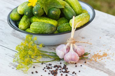 Salatalık metal kase ve güneşli günde bahçe salatalık dekapaj baharatlar