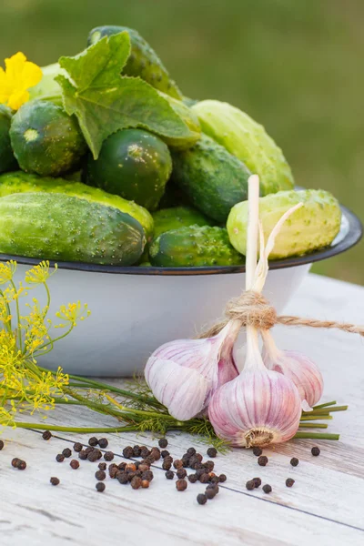 Cucumbers in metal bowl and spices for pickling cucumbers in garden on sunny day