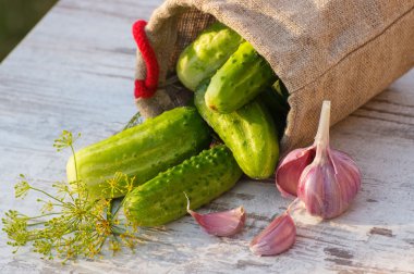 Jüt çanta, taze sarımsak ve güneşli masada dereotu salatalık