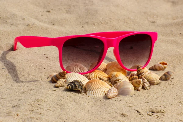 Un mucchio di conchiglie e occhiali da sole rosa sulla sabbia in spiaggia — Foto Stock