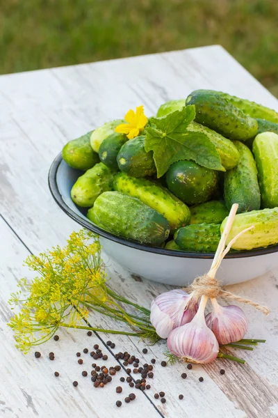 Cucumbers in metal bowl and spices for pickling cucumbers in garden on sunny day — Stock Photo, Image