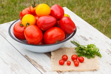 Güneşli Bahçe ahşap masa üzerinde yeşil maydanoz ile domates