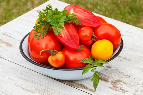 Tomates aux feuilles vertes et persil dans un bol en métal dans le jardin le jour ensoleillé — Photo