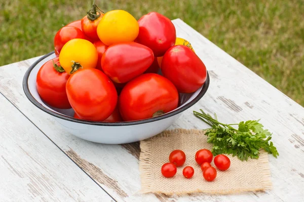 Tomates au persil vert sur table en bois dans le jardin le jour ensoleillé — Photo