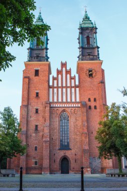 Poznan, Polonya - 1 Temmuz 2016: Poznan Polonya şehirde katedral kilise girişinde görünümünü