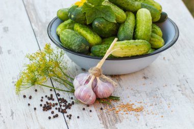 Salatalık metal kase ve güneşli günde bahçe salatalık dekapaj baharatlar