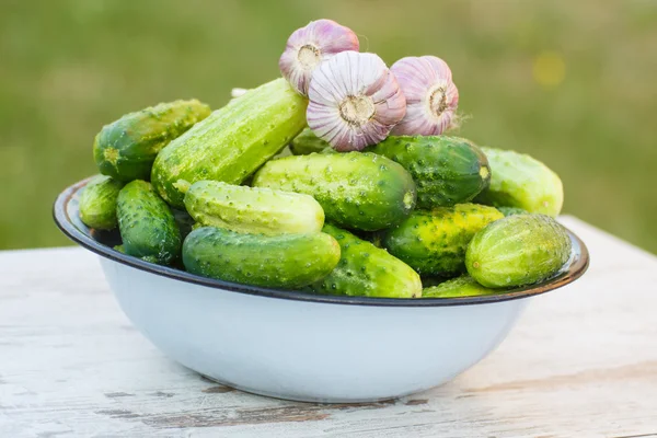 Gurka och vitlök i metall skål i trädgården på solig dag — Stockfoto