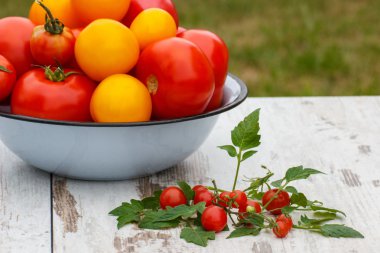 Metal kase ve güneşli Bahçe kiraz domates domates