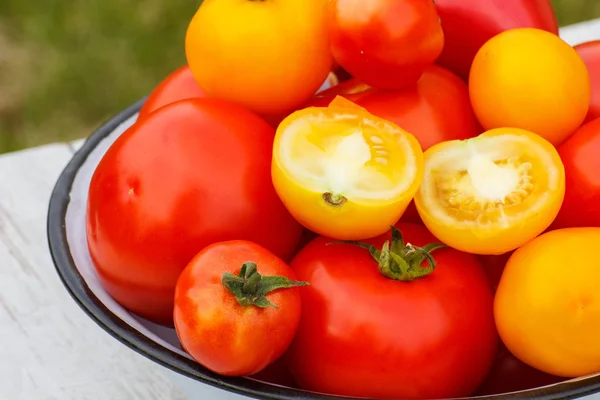 Tomates dans un bol en métal dans le jardin le jour ensoleillé — Photo