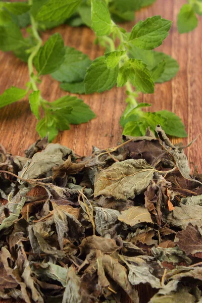 Ahşap masa, herbalism kurutulmuş ve taze Melisa yığını — Stok fotoğraf