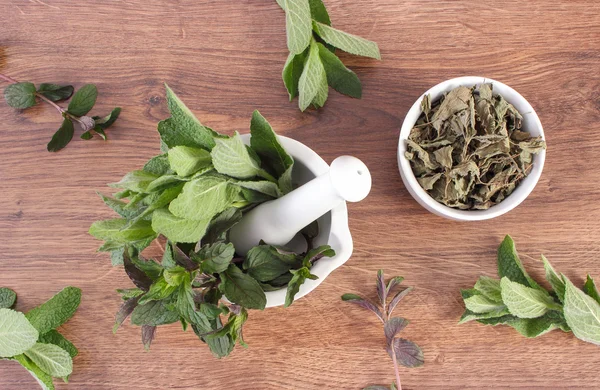 Fresh natural green and dried mint with mortar, healthy lifestyle — Stock Photo, Image