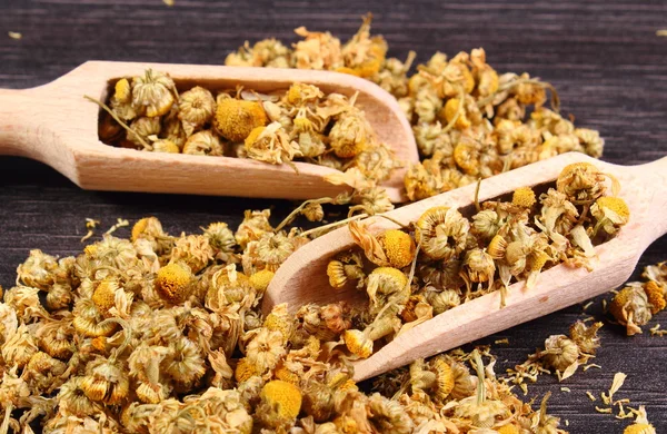 Dried chamomile on wooden table, alternative medicine — Stock Photo, Image