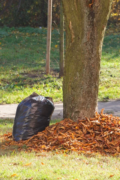 Montón de hojas de naranja y bolsa de basura en el parque de otoño — Foto de Stock