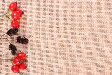 Jüt tuval üzerine sonbahar dekorasyon