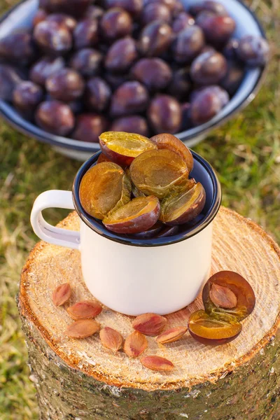 Pruimen in metalen mok op houten stomp in tuin op zonnige dag — Stockfoto