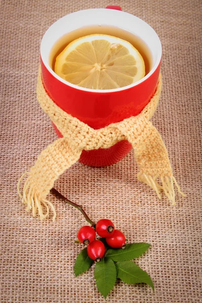 Cup of tea with lemon wrapped woolen scarf and autumn decoration — Stock Photo, Image