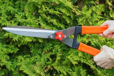 Eller kadının çalılar süs için Bahçe aracını kullanır