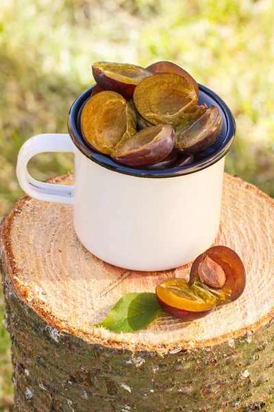 Ameixas em caneca metálica no toco de madeira no jardim no dia ensolarado — Fotografia de Stock