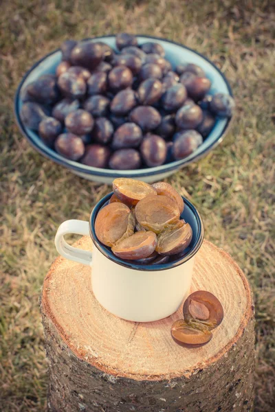 Foto vintage, Ameixas em caneca metálica no toco de madeira no jardim no dia ensolarado — Fotografia de Stock