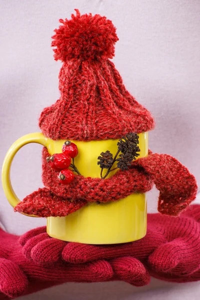 Mão de mulher em luvas segurando xícara de chá com lenço e boné de lã — Fotografia de Stock